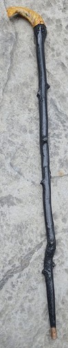Antique irish shillelagh - antique,
