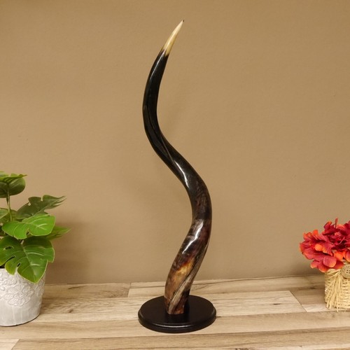 Piece kudu exterior horn - 1,