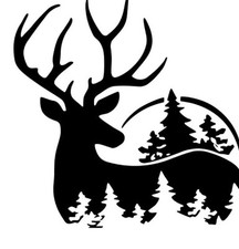 Stag Deer Camping  Sticker