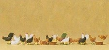 Hens And Cocks