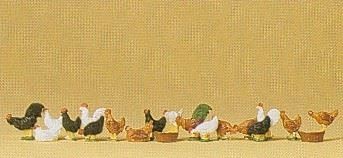 Hens and cocks - hens,