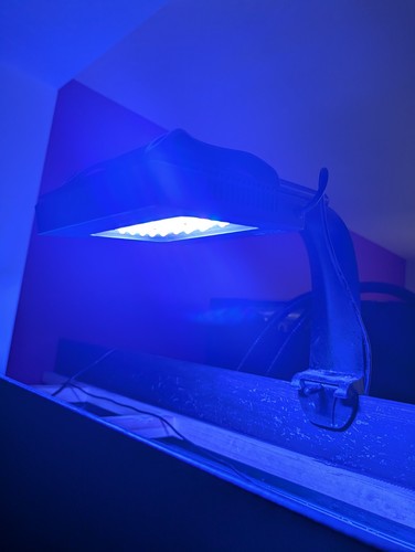 Radion xr15 blue pro - xr15, 5