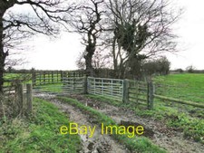 Photo 6x4 Cattle crush beside