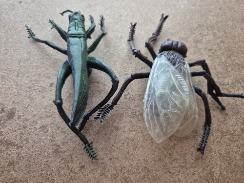 Grasshopper and fly - fly, toy