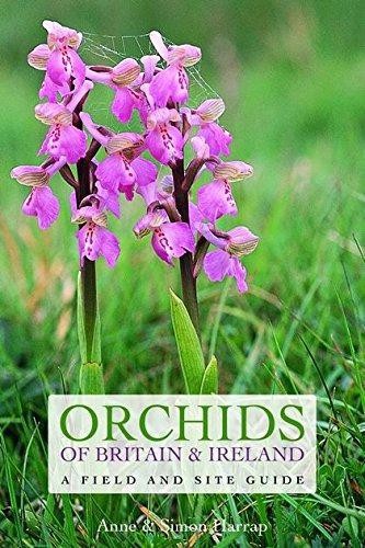 Orchids britain and - of,