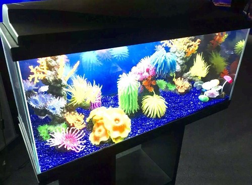 Brand new large fish tank - fish,
