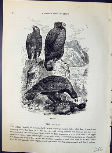 Original old antique - antique, print