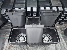 BOX OF 55 / Brand New 2 Litre