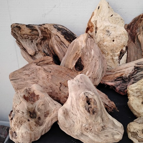 Unique driftwood pieces 11 - driftwood, (