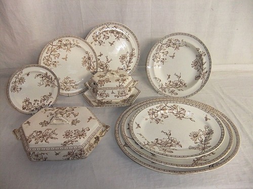 Wedgwood clematis brown - wedgwood,