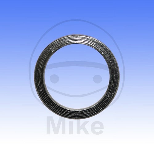 Exhaust gasket 23x30x4 - exhaust,