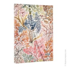 Paperblanks 2026 12-Month