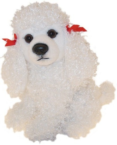 Poodle teddy white - poodle,