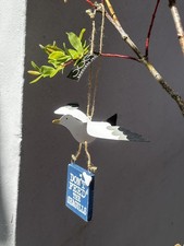 Shoeless joe hanging seagull - joe,