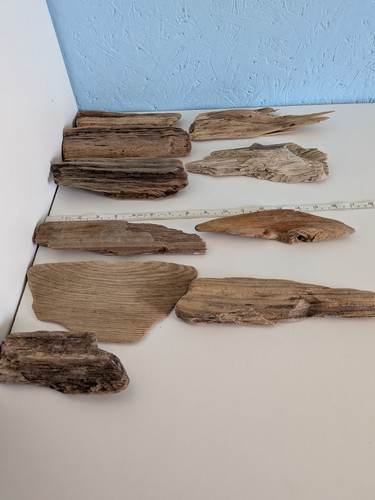 Decorative flat driftwood - decorative,