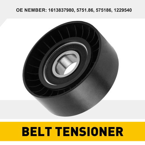 Tensioner pulley ribbed - tensioner, v