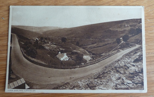 Horse shoe pass llangollen - horse,