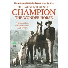 The adventures champion - of,