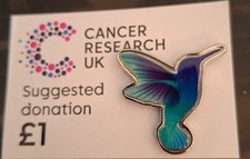 charity pin badge blue/green