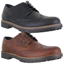 Mens Thomas Crick Rydal Casual Smart Brogue Leather Lace Up Shoes Sizes 7 to 12