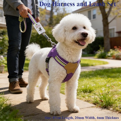Dog harness lead set - dog,