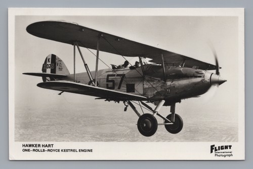 Hawker hart rolls - hawker,