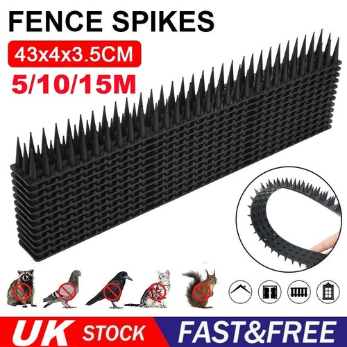 Bird spikes for pigeon - bird,