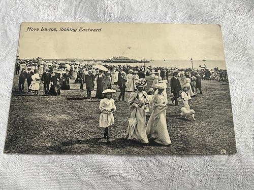 Brighton hove lawns vintage - brighton,