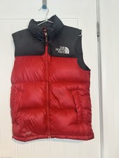 The North Face 700 Down Gilet