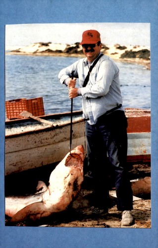 California viba fishing heres - viba,