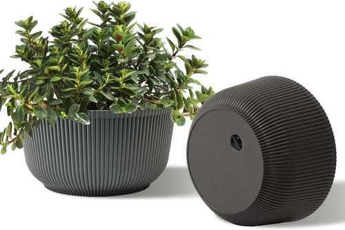 T4u inch self watering - inch,
