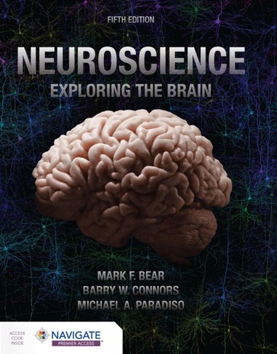 Neuroscience exploring the - neuroscience,