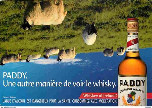 Postcard advertising paddy - advertising,