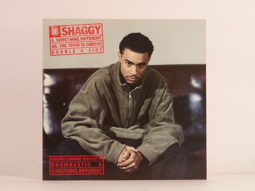 Shaggy something different - something,
