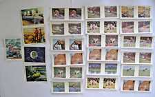 18 Weetabix 3d Animal cards