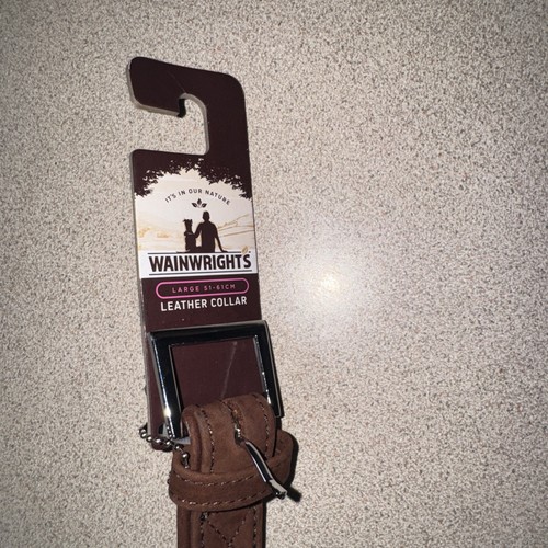Dog collar - dog,