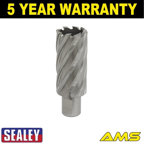 Sealey worksafe 29mm hss - sealey,