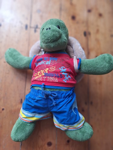 Vintage build bear surfing - build,