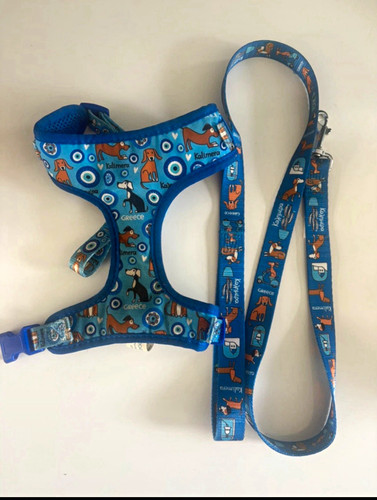 Greek evil eye dog harness - greek,