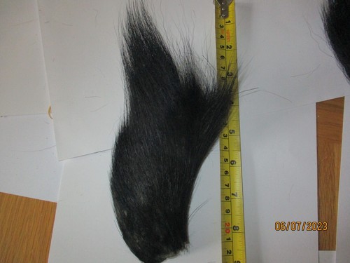 Buck tail black piece fly - tail,