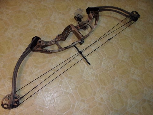 Hoyt usa alphatec carbonite - hoyt,