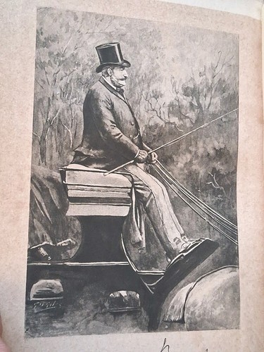Antique driving carriages - antique, the