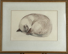 William Crosbie RSA, RGI,   (1915-1999 )  'Siamese/Burmese Cat ', Watercolour