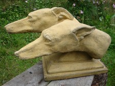 Greyhound dog heads - dog,
