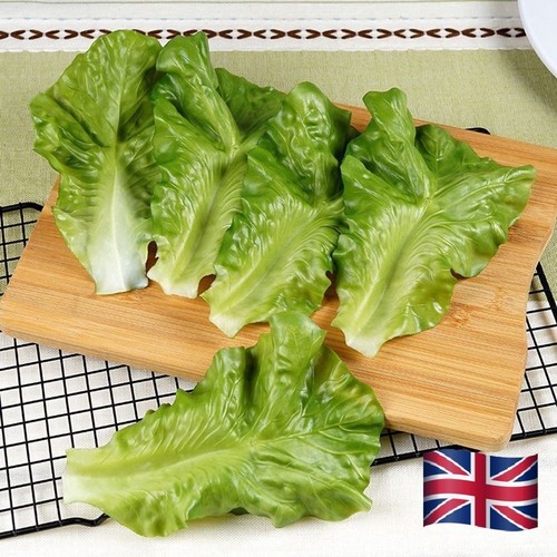 Artificial simulation lettuce - simulation,