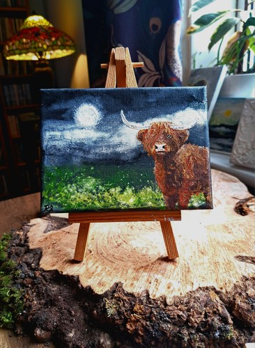 Curly coo highland cow - curly,