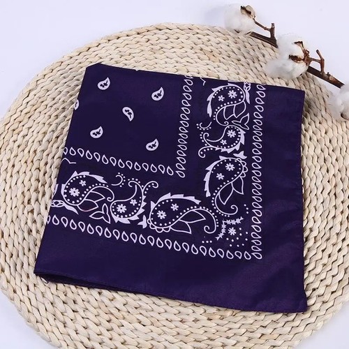 Bandana paisley neck head - bandana,
