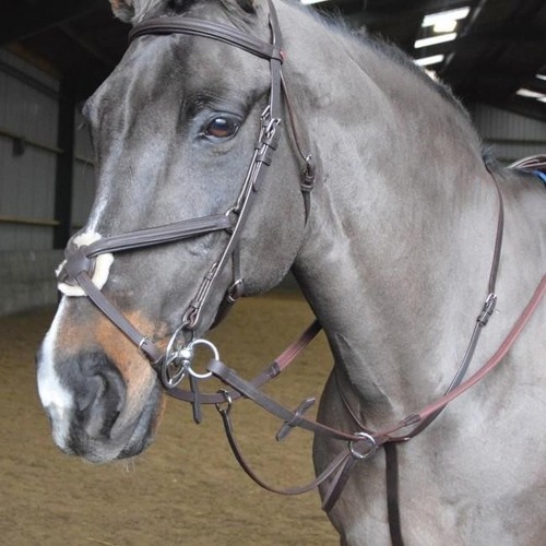 John whitaker ready - whitaker, to