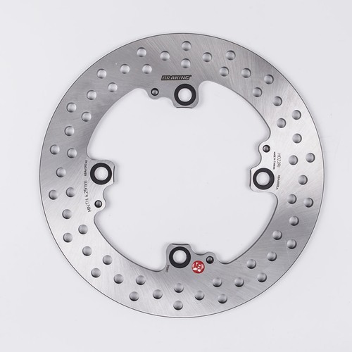 Braking rear brake disc - braking,