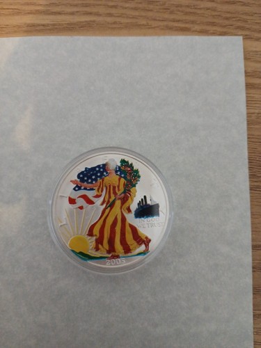 2005 silver eagle - 2005,